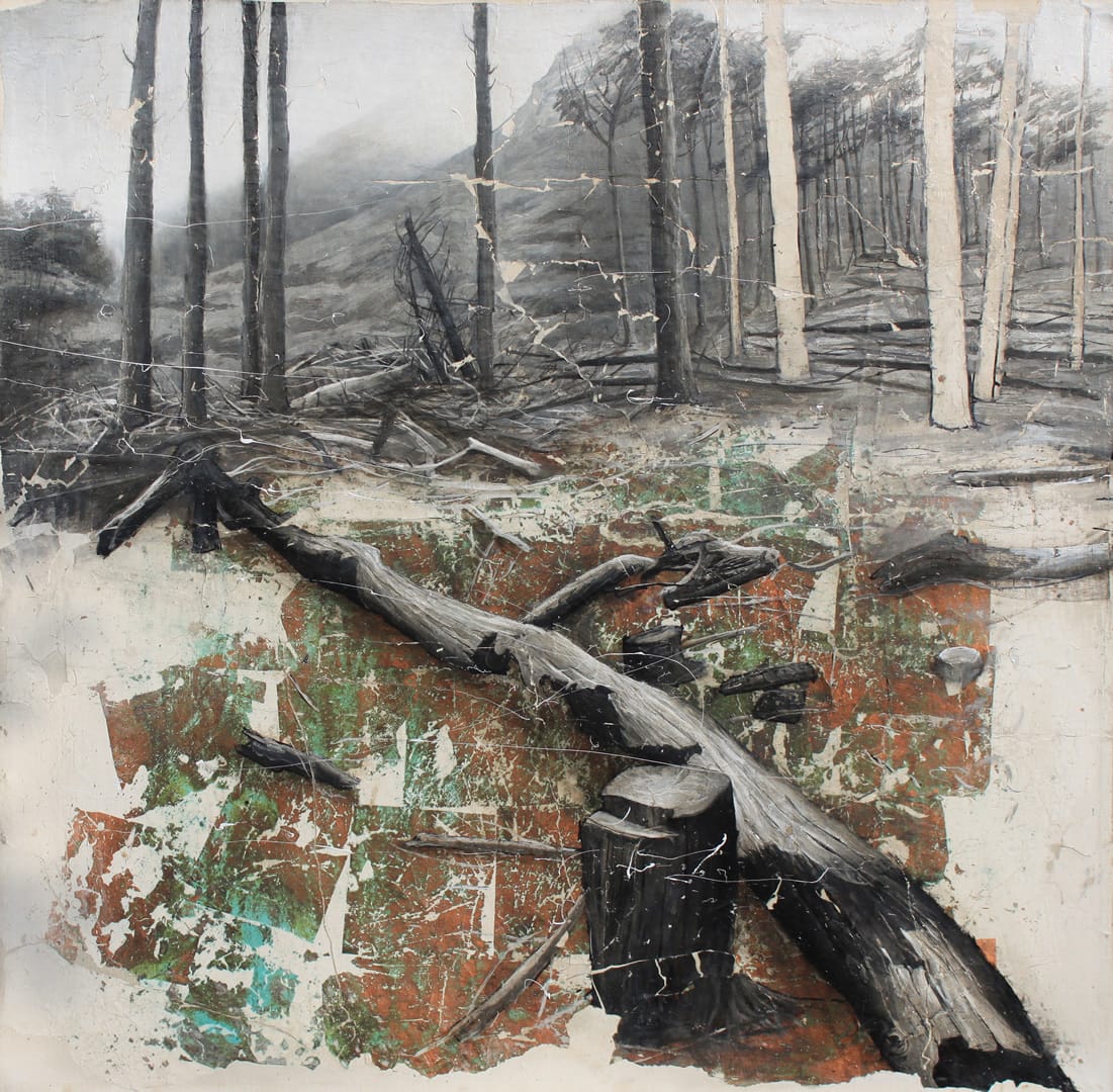 Woods